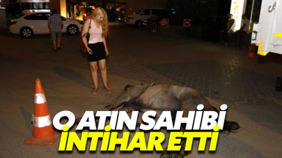 Tartışmalara neden olan atın sahibi intihar etti