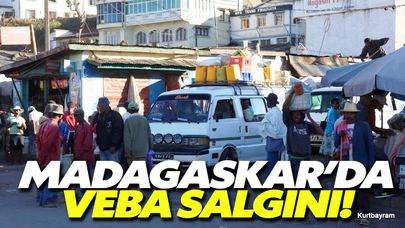 Madagaskar'da veba salgını 42 kişiyi öldürdü