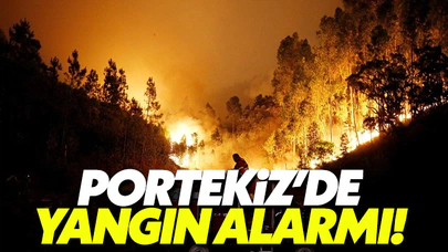 Portekiz'de yangın can aldı