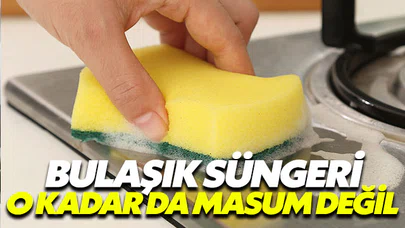 Bulaşık süngeri ve mikrofiber bez kullanırken bir kez daha düşünün