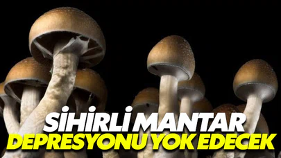 Psilosibin depresyonu yok edecek