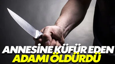 Annesine küfür eden adamı öldürdü