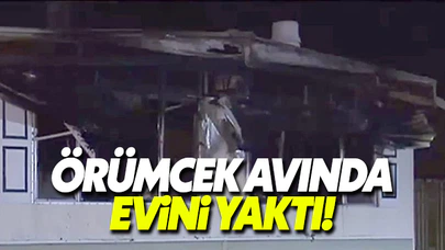 Örümcek öldürmek isterken evini yaktı