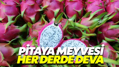 Her derde deva pitaya artık sofralarımızda