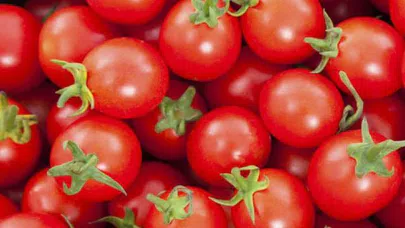 Rusya’ya domates satışında yeni gelişme