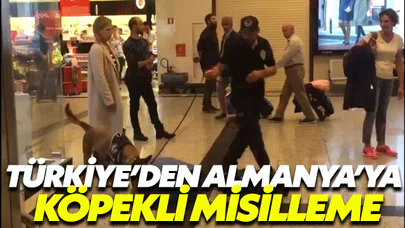 Türkiye’den köpekle arama misillemesi