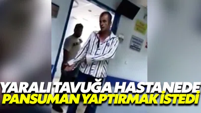 Yaralı tavuğu pansuman yaptırmak için hastaneye götürdü