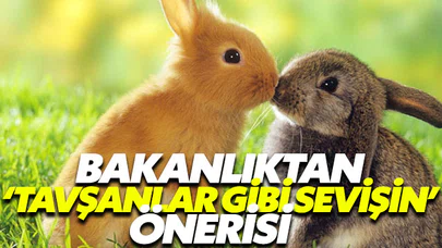 Nüfus oranları düşünce bakanlıktan üreme önerisi