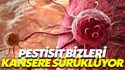 Ufak Tefek Cinayetler dizisinin ele aldığı pestisit bizleri kansere sürüklüyor