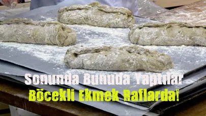 Finlandiya'da böcekli ekmek satışa sunuldu!