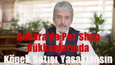 Ankara Büyükşehir Belediye Başkanı Tuna: Köpek Satışı Yasaklansın