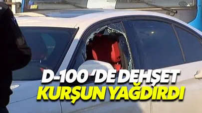 D-100 Karayolu'nda kayınço dehşeti