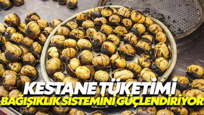 Bağışıklık sisteminizi güçlendirmek için kestane tüketin