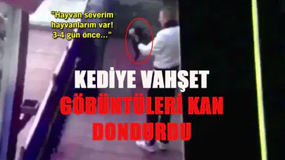 Erzincan'da kediye vahşet yakalanan asker serbest bırakıldı