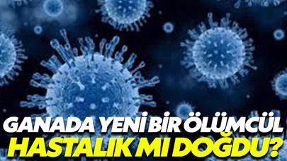 Gana'da ölümcül yeni bir hastalık mı doğdu?