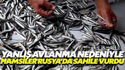 Trabzonlu balıkçılar isyanda