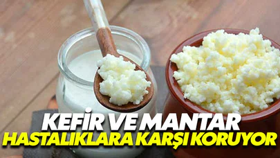 Kefir ve mantar hastalıklara karşı koruyor