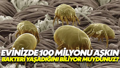 Evinizde 7 bin farklı türde 100 milyonu aşkın bakteri yaşıyor