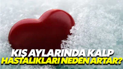 Kış aylarında kalp hastalıkları neden artar?