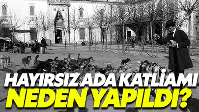 Hayırsız Ada Katliamı Neden Yapıldı?