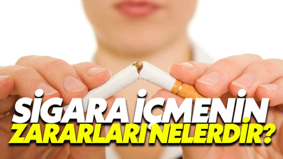 Sigara İçmenin Zararları Nelerdir?