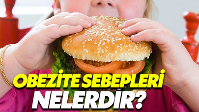 Obezite Sebepleri Nelerdir?