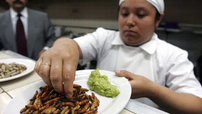 Böcek Yenilen Ülkeler Ve Beslenme Alışkanlıkları Nelerdir?