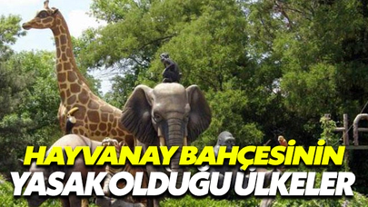 Hayvanat Bahçesinin Yasak Olduğu Ülkeler