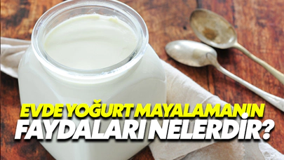 Evde Yoğurt Mayalamanın Faydaları Nelerdir?