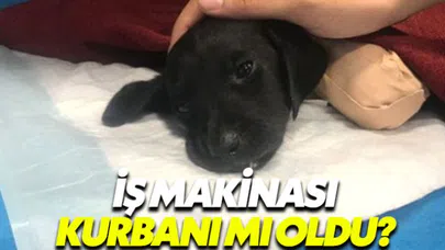 Sakarya'da yaşanan vahşetle ilgili 1 kişi gözaltına alındı