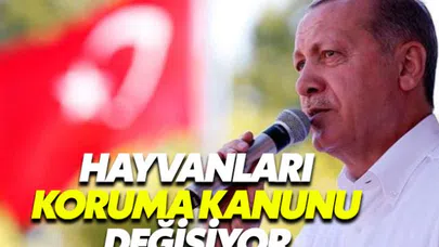 Hayvanları Koruma Kanunu değişiyor