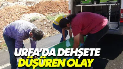 Şanlıurfa'da 2 yaşında kız çocuğu cesedi bulundu