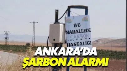 Ankara'da verilen şarbon alarmı endişe yarattı