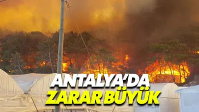 Antalya'daki orman yangınında hasar büyük