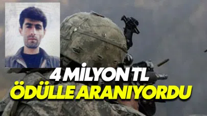 PKK'nın sözde eyalet sorumlusu Mardin'de ölü ele geçirildi