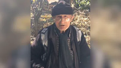 Kedisi için hayatını tehlikeye atan yaşlı adam hayatını kaybetti