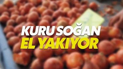 Kuru soğanın fiyatı bir haftada 5 TL'yi buldu
