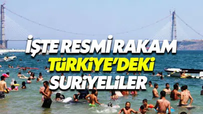 Türkiye'de ne kadar Suriyeli mülteci var? İçişleri Bakanı Soylu açıkladı