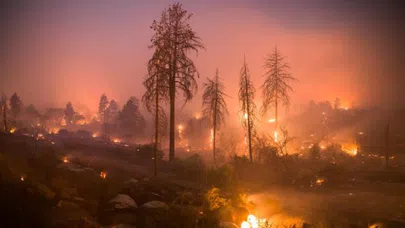 Kaliforniya'yı küle çeviren yangın tamamen kontrol altına alındı