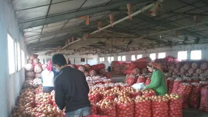 Karaborsa soğan haberleri gerçeği yansıtmıyor mu?