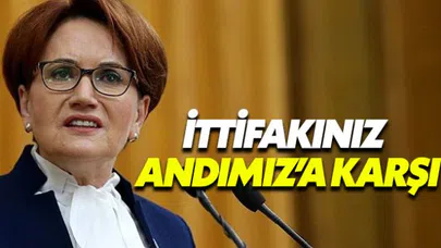 Meral Akşener: Sizin ittifakınız Andımız'a karşıdır