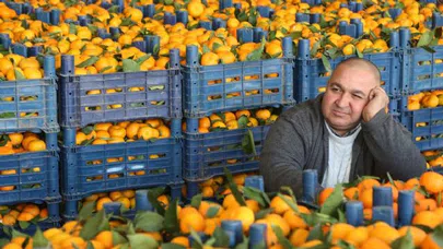 Türk mandalinasına Rus vetosu!