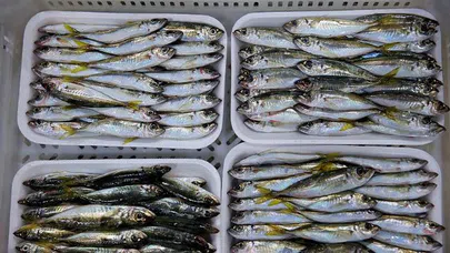 11 ayda 64 ülkeye balık ihracatı yapıldı