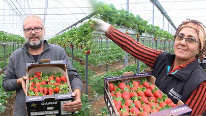 Serasında uyguladığı yöntem ile gelirini 5'e katladı