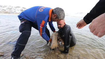 Donmak üzere olan köpeği kurtardı