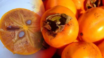 Çekirdekleriyle yediği Trabzon hurması yüzünden ameliyatlık oldu