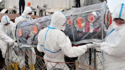 Kosova'da 'domuz gribi' salgını