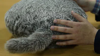 Yalnız yaşama robotlu çözüm