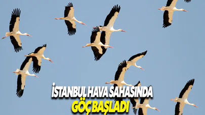 İstanbul hava sahasında göç alarmı