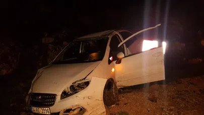 Köpeğe çarpmamak için kaza yaptı